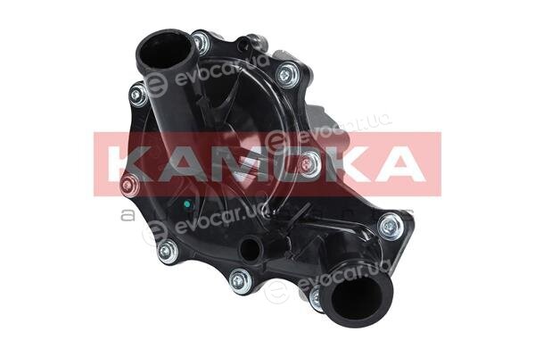 Kamoka T0096