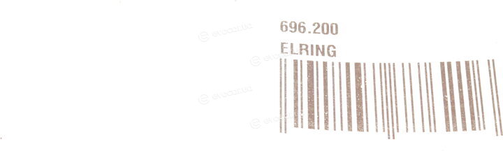 Elring 696.200