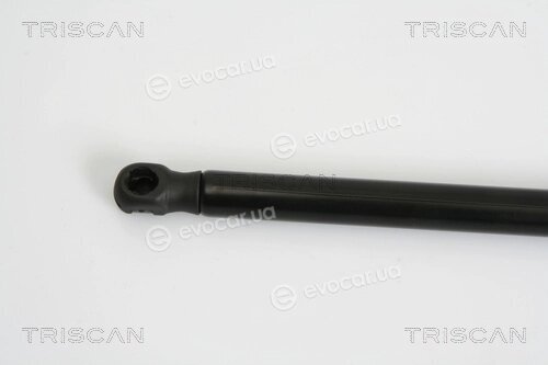 Triscan 8710 29279