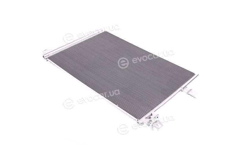 Van Wezel 58015704