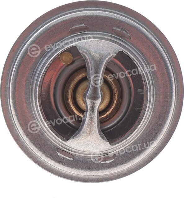 Motorad 269-79K