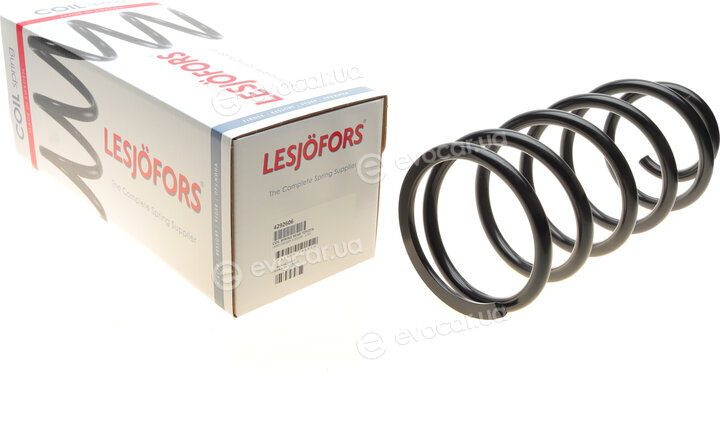 Lesjofors 4292606