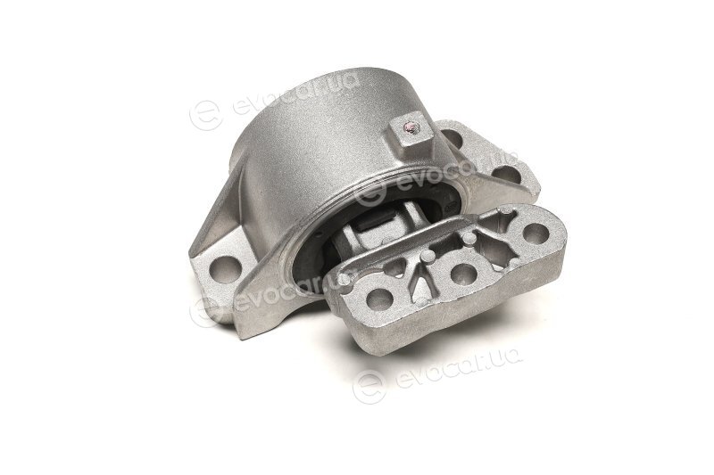 Sasic 2700056