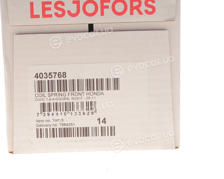 Lesjofors 4035768