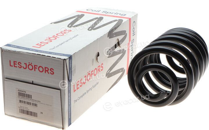 Lesjofors 4263476