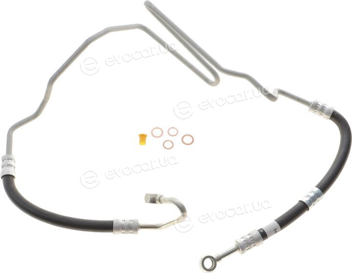 AIC 54953