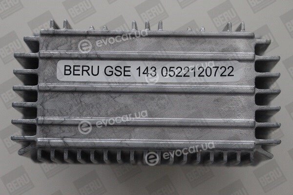 Beru GSE143