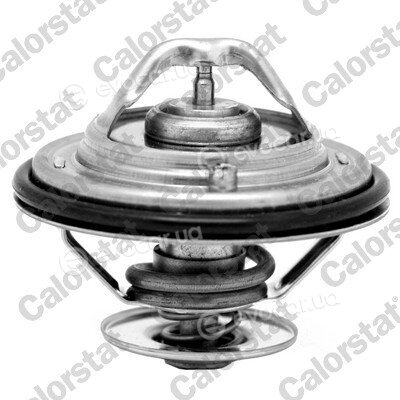 Vernet / Calorstat TH6529.87J