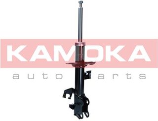 Kamoka 2001137