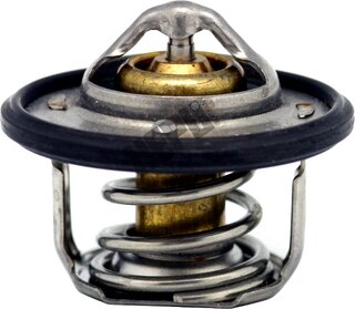 Hepu TM1329