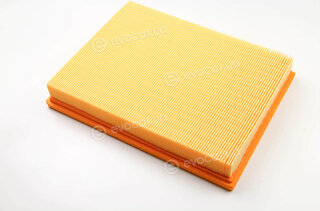 Asam 70309