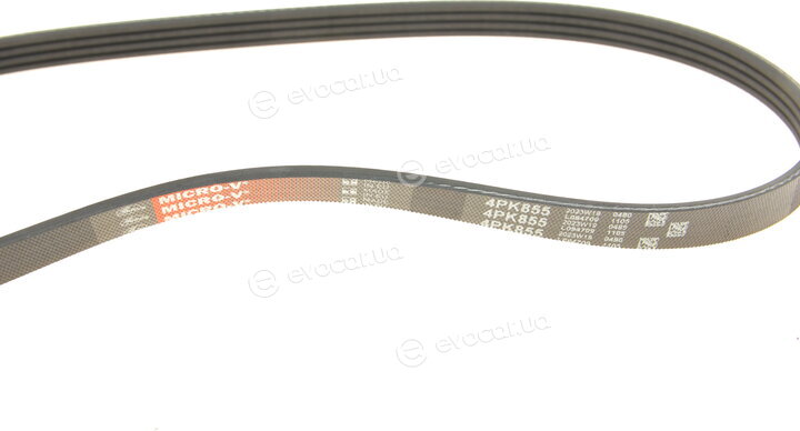 Gates K074PK878