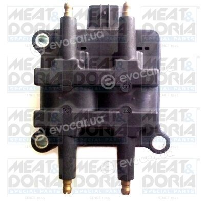 Meat & Doria 10653