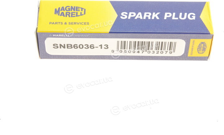 Magneti Marelli 062613000036