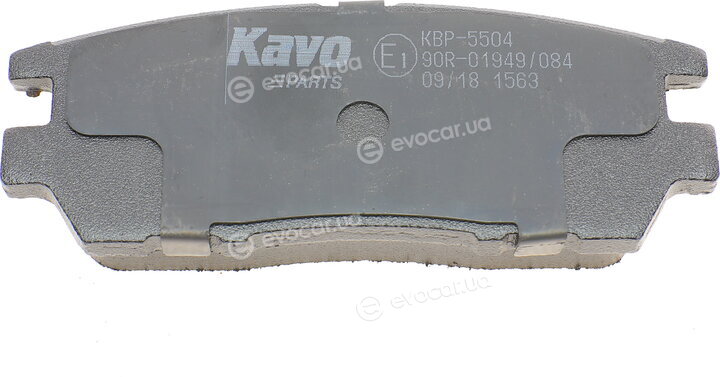 Kavo KBP-5504