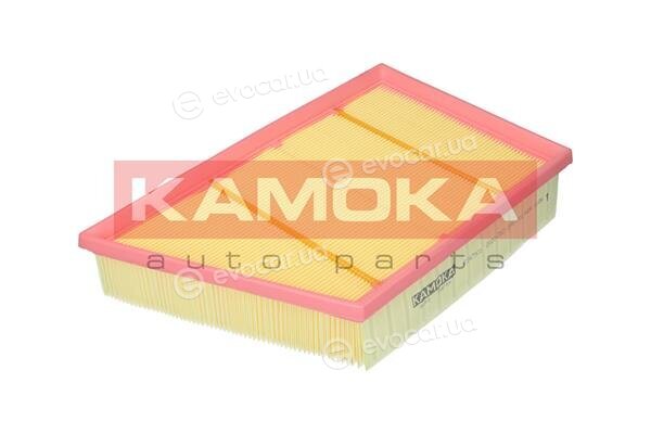 Kamoka F247901
