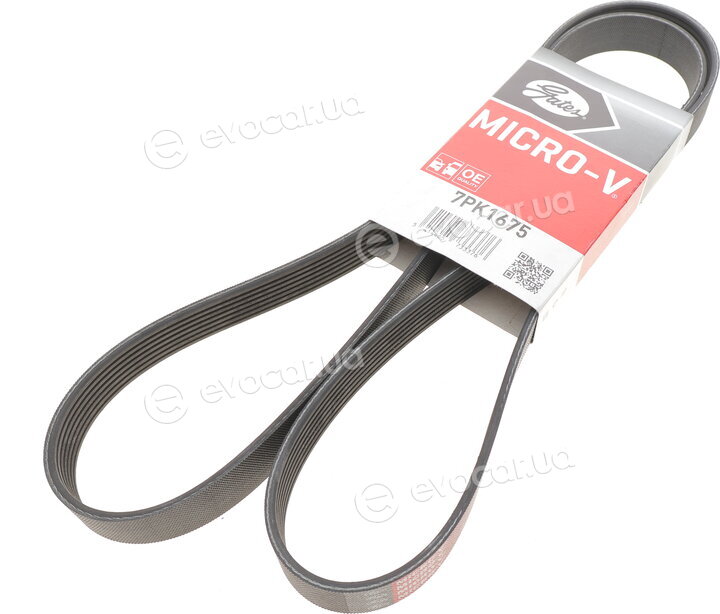 Gates 7PK1675
