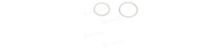 Elring 382.800