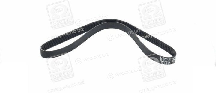 Dayco 6PK1076