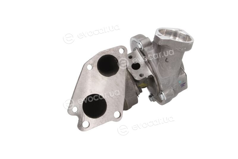 BorgWarner 54399880089