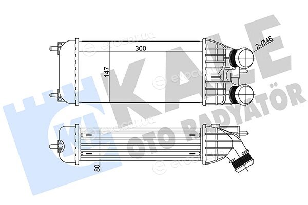 Kale 344600