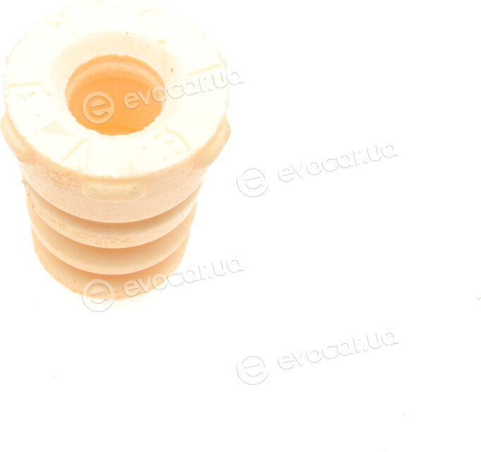 Borsehung B10028