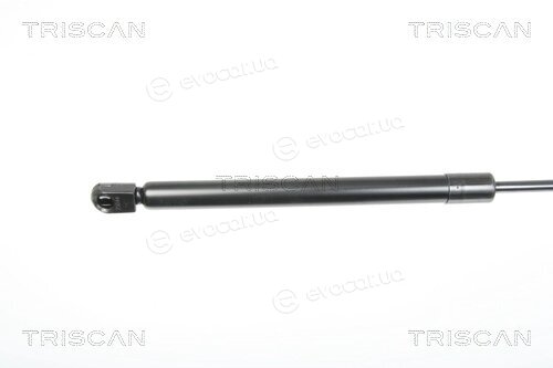 Triscan 8710 29281