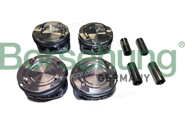 Borsehung B11139
