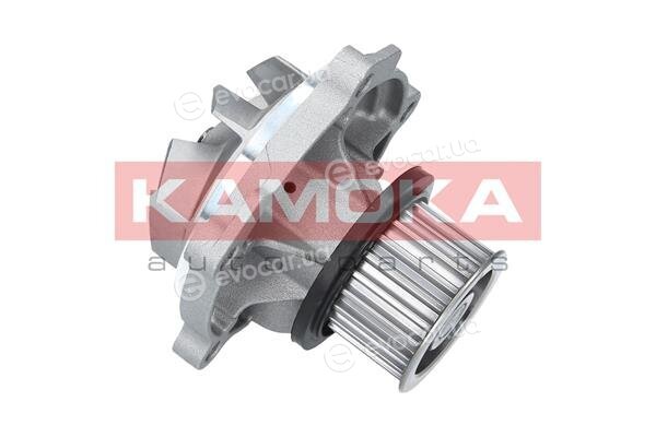 Kamoka T0077