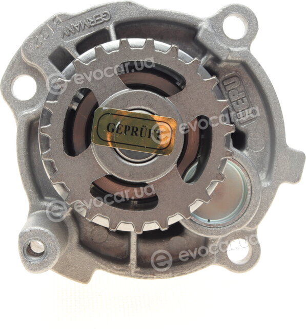 Hepu P572