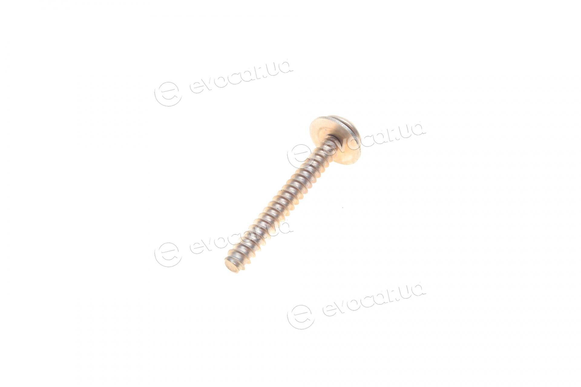 Bosch F 01C 600 343