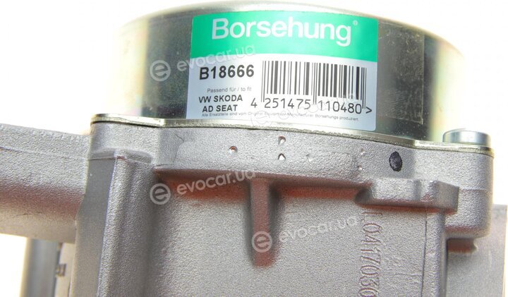 Borsehung B18666