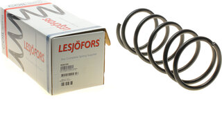 Lesjofors 4035729