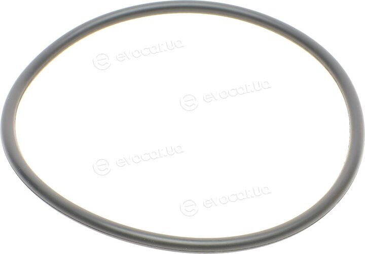 Purflux L1069