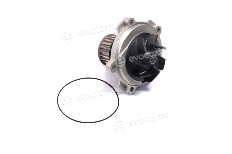 SKF VKPC 88505