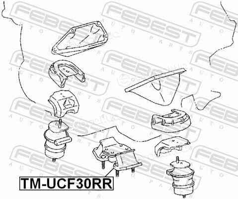 Febest TM-UCF30RR
