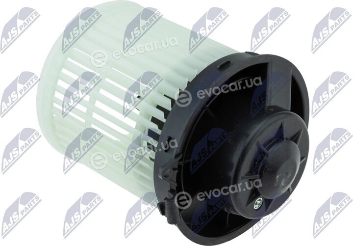 NTY EWN-NS-008
