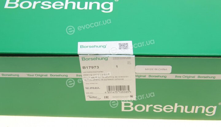 Borsehung B17973