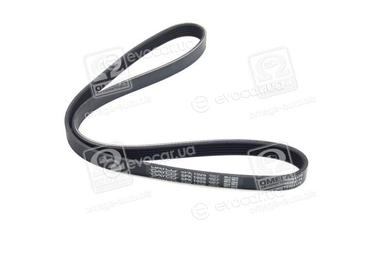 Dayco 5PK1025