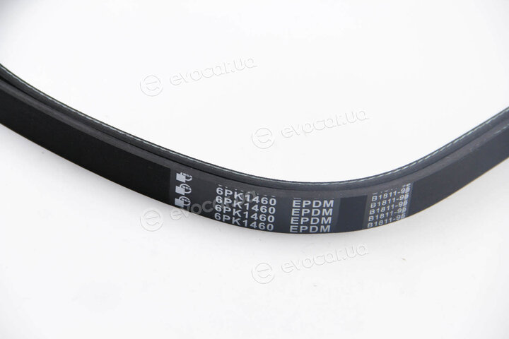 BGA 6PK1460