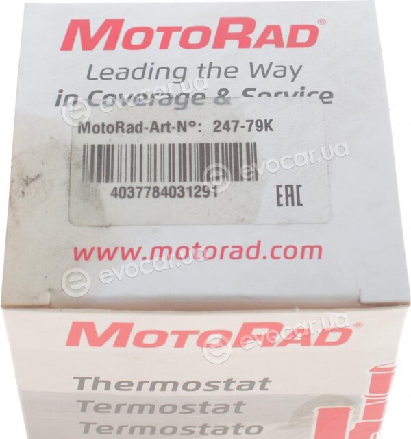 Motorad 247-79K