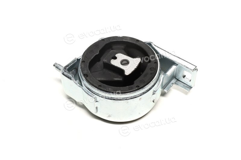 Sasic 9002503