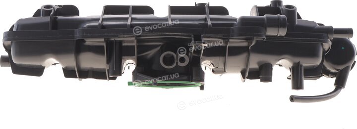 Solgy 114275