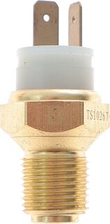 Delphi TS10267