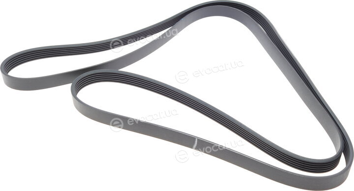 Hutchinson 2498 K 6