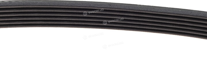 Dayco 6PK915