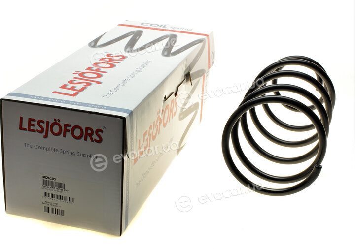 Lesjofors 4026105