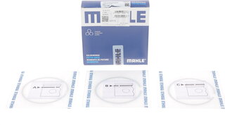 Mahle 030 31 N0