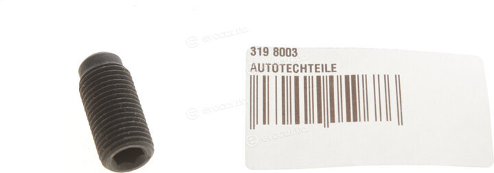 Autotechteile 319 8003