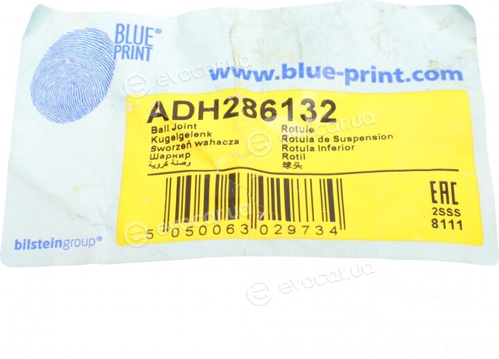 Blue Print ADH286132